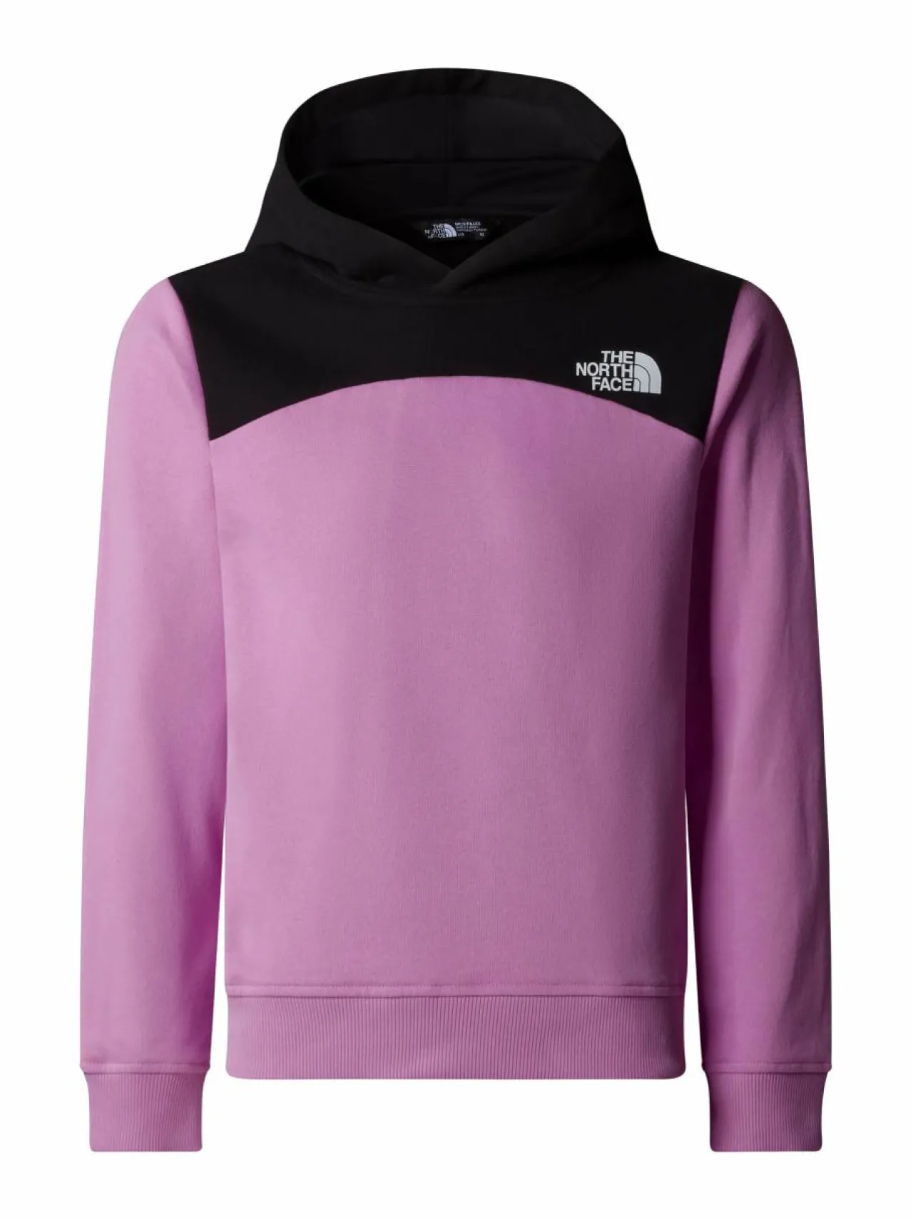 The North Face Back Logo relaxed -huppari^ Colleget & Hupparit