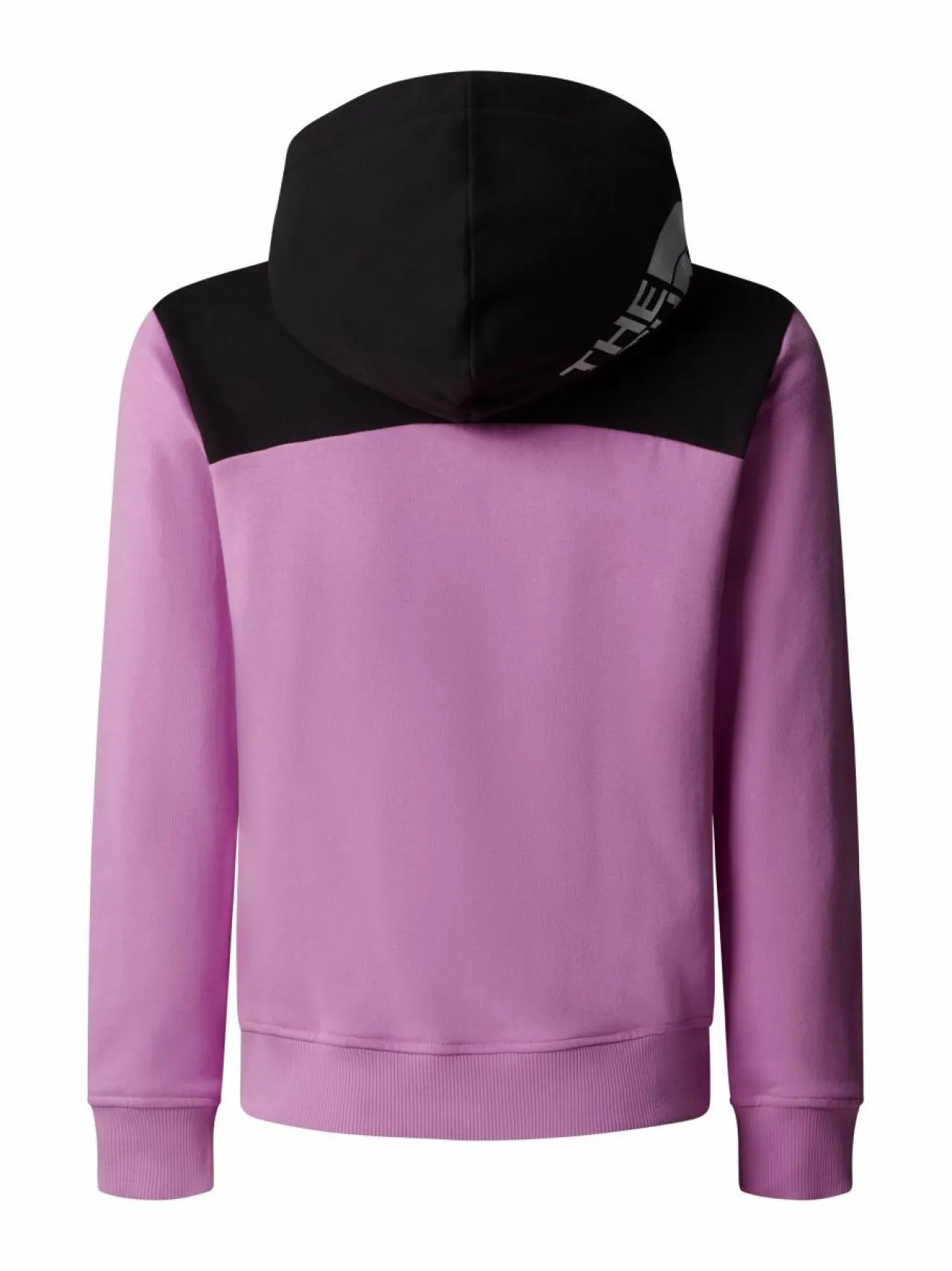 The North Face Back Logo relaxed -huppari^ Colleget & Hupparit