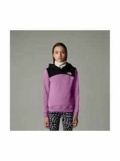 The North Face Back Logo relaxed -huppari^ Colleget & Hupparit