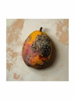 Unisex<Born To Stand Out Black Mango Extrait Extrême -tuoksu
