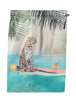 Uima-Asut<Molo Boardies-uimahousut 3803 LEO ON SURF