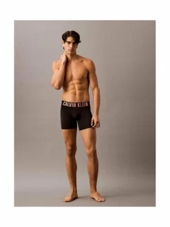 Calvin Klein Underwear Boxer Brief -alushousut 3-pack^ Alusasut