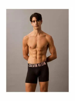 Calvin Klein Underwear Boxer Brief -alushousut 3-pack^ Alusasut