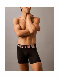 Calvin Klein Underwear Boxer Brief -alushousut 3-pack^ Alusasut