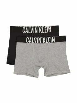 Alusvaatteet<Calvin Klein Kids Boxer-alushousut 2-pack 0SC PVHBLACK/GREYHEATHER