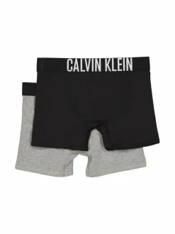 Alusvaatteet<Calvin Klein Kids Boxer-alushousut 2-pack 0SC PVHBLACK/GREYHEATHER