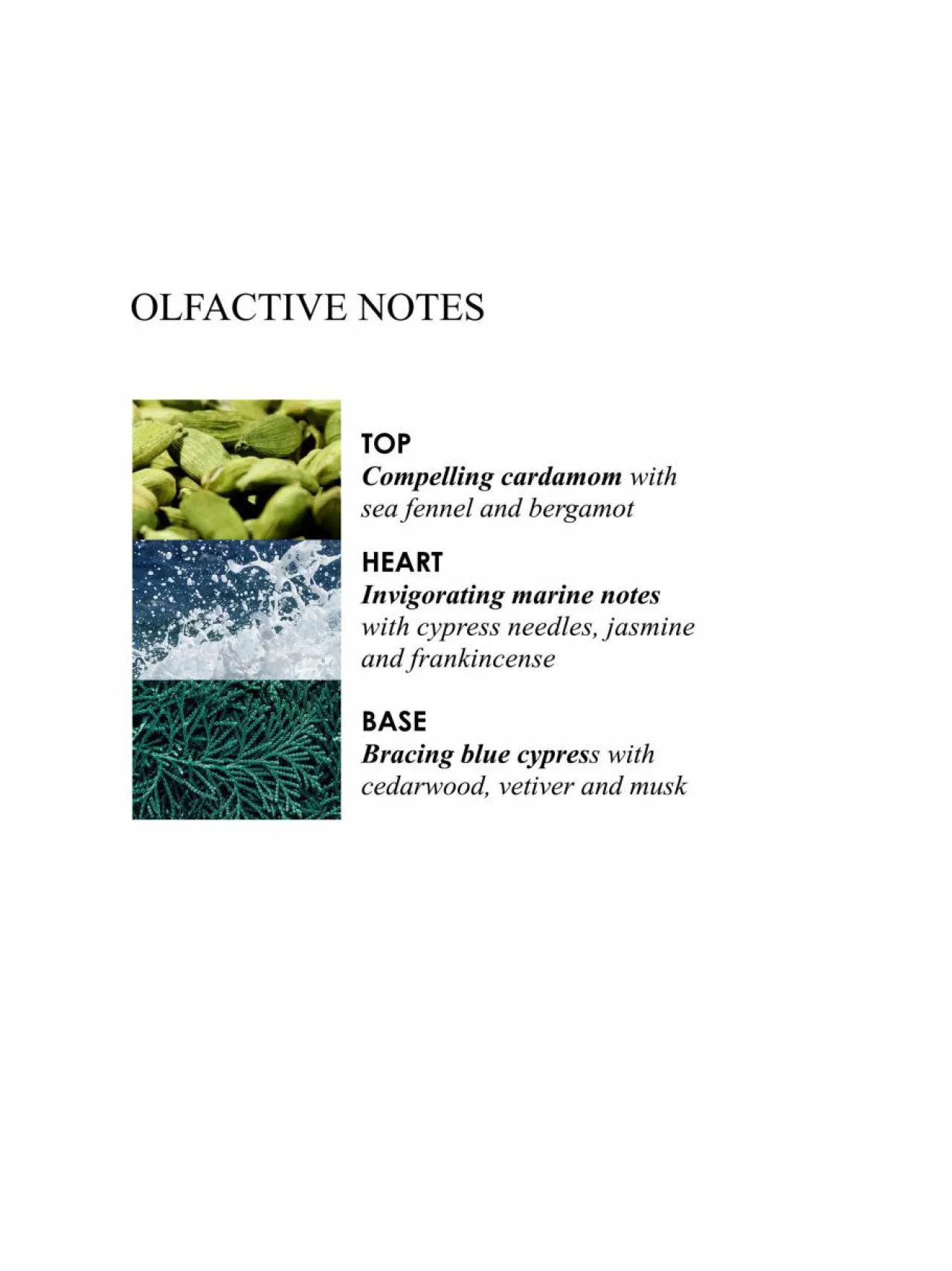 Molton Brown Coastal Cypress & Sea Fennel Luxury Candle -tuoksukynttilä^ Tuoksupakkaukset