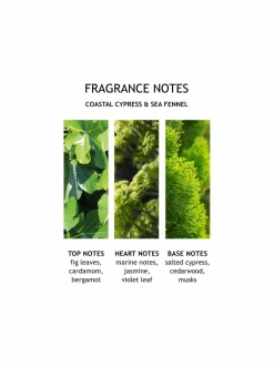 Molton Brown Coastal Cypress & Sea Fennel Bath & Shower Gel -suihkugeeli 300 ml^ Naiset