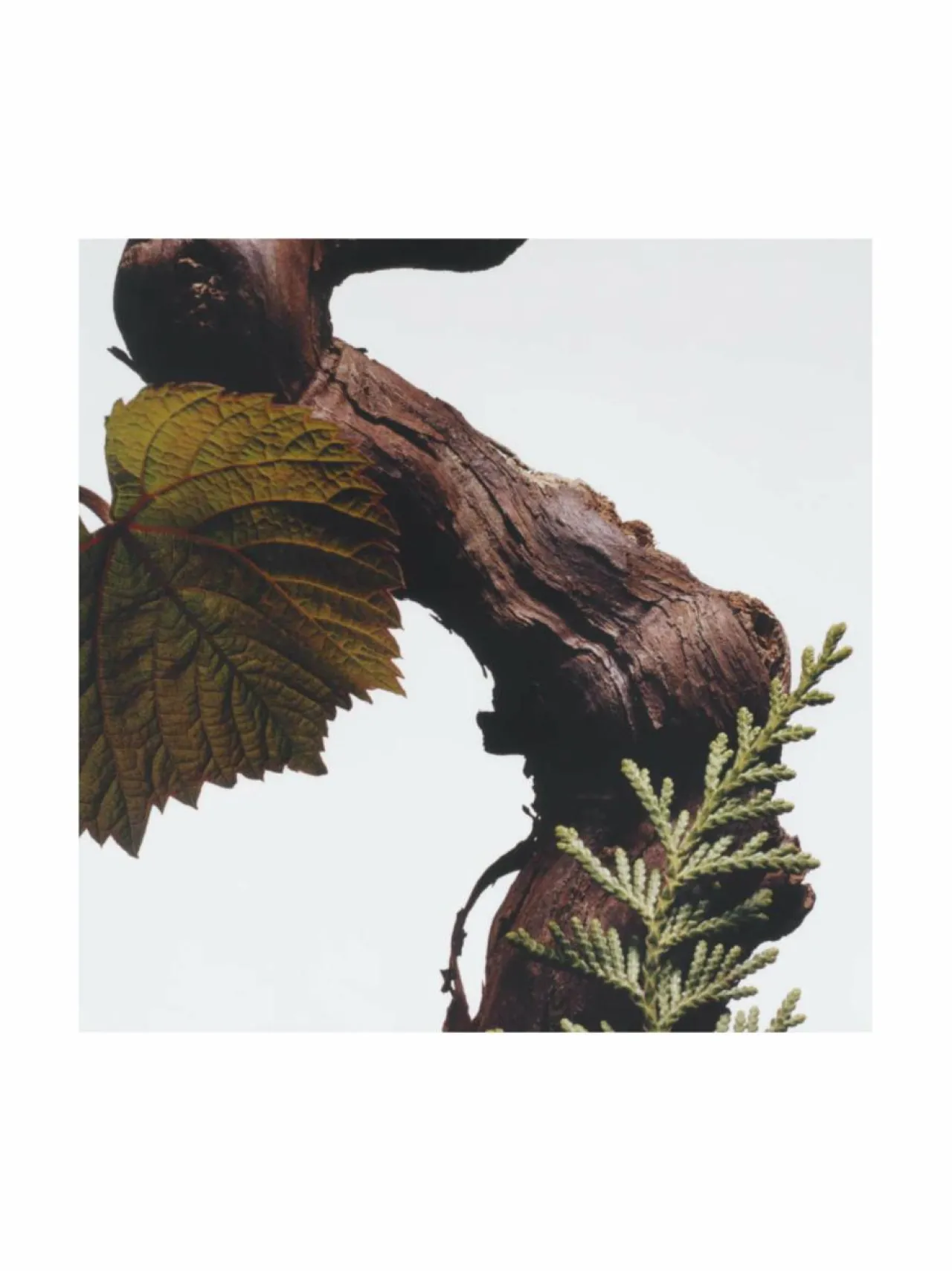 Tuoksupakkaukset<Jo Malone London English Oak Home Candle -tuoksukynttilä