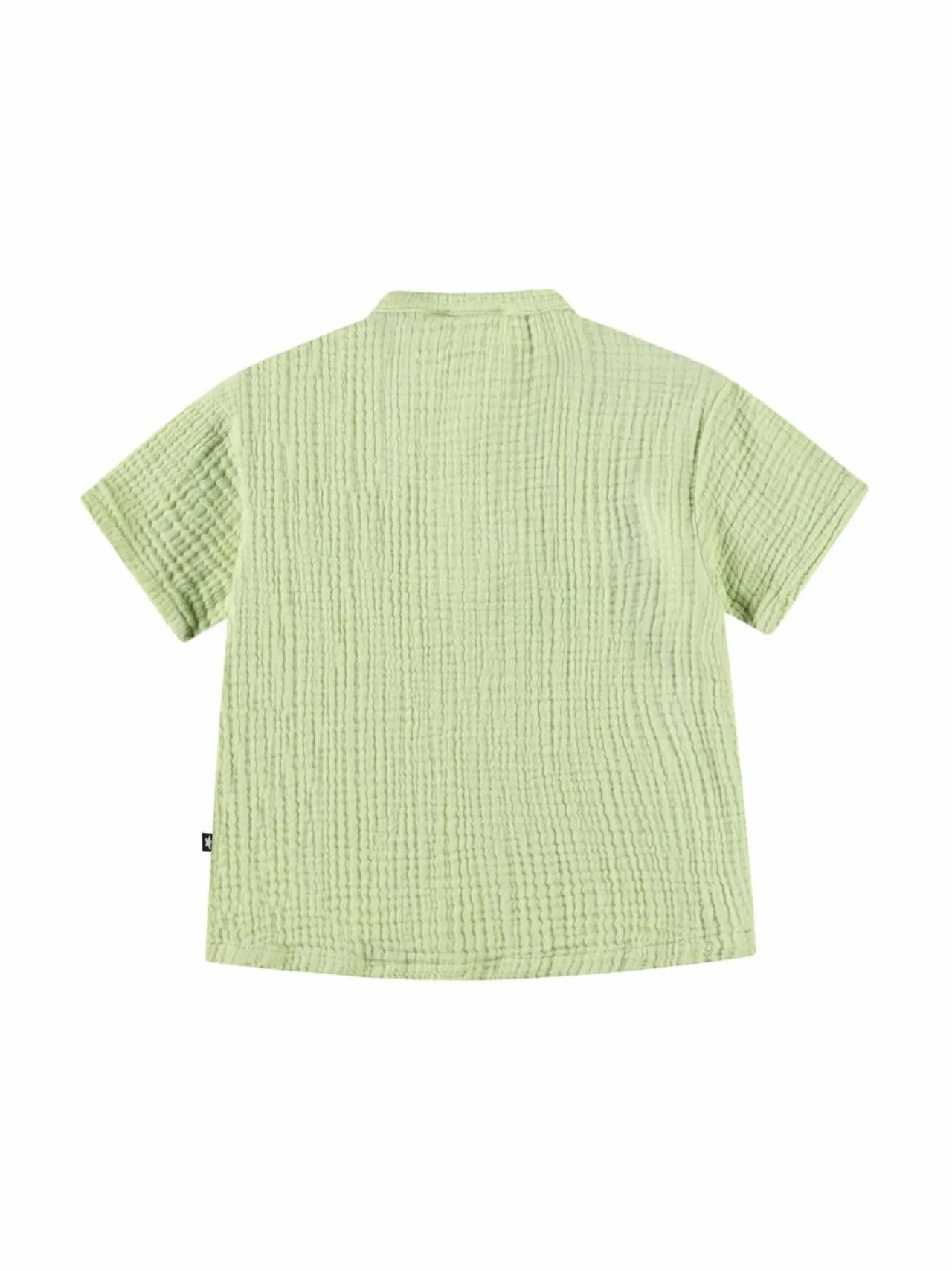 T-Paidat<Molo Ever-paita 5406 MISTY GREEN