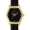 Kellot<TED BAKER Watches EXTER 36MM MESH -RANNEKELLO
