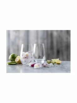 Lasit<Schott Zwiesel Forté Multipurpose Tumbler -lasi 557 ml, 4 kpl CLEAR