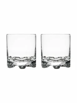 Iittala Gaissa-grogilasi 28 cl, 2 kpl^ Lasit