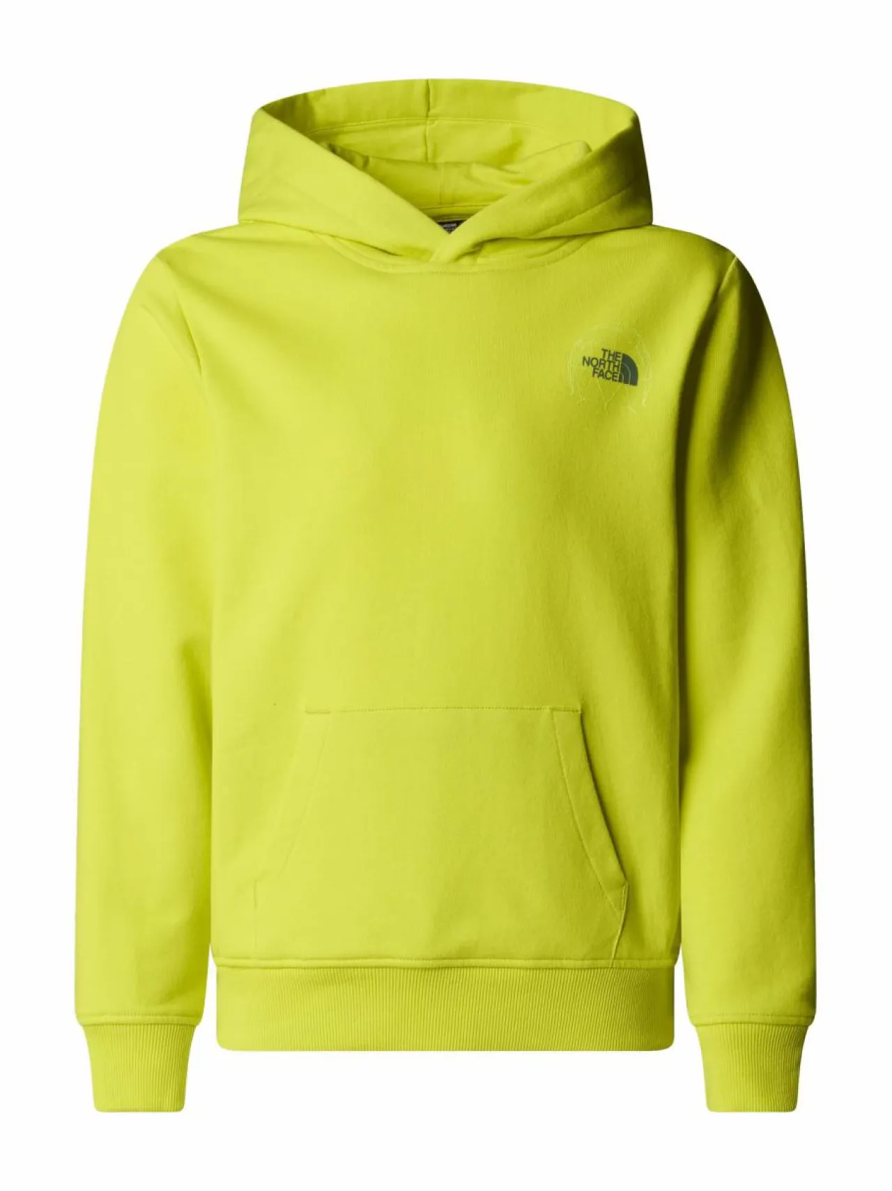 The North Face Graphic Relaxed -huppari^ Colleget & Hupparit