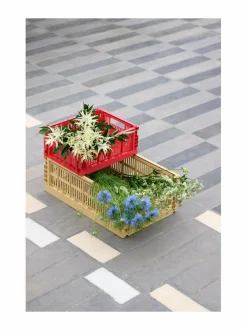 HAY Colour Crate S -säilytyskori^ Säilytys