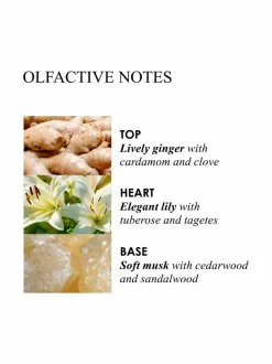 Naiset<Molton Brown HEAVENLY GINGERLILY -käsivoide 300 ml