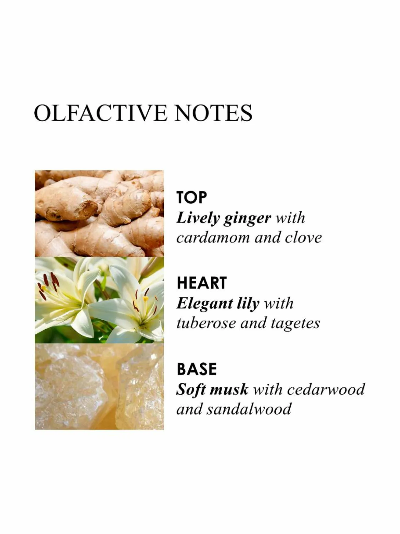 Naiset<Molton Brown HEAVENLY GINGERLILY -käsivoide 300 ml