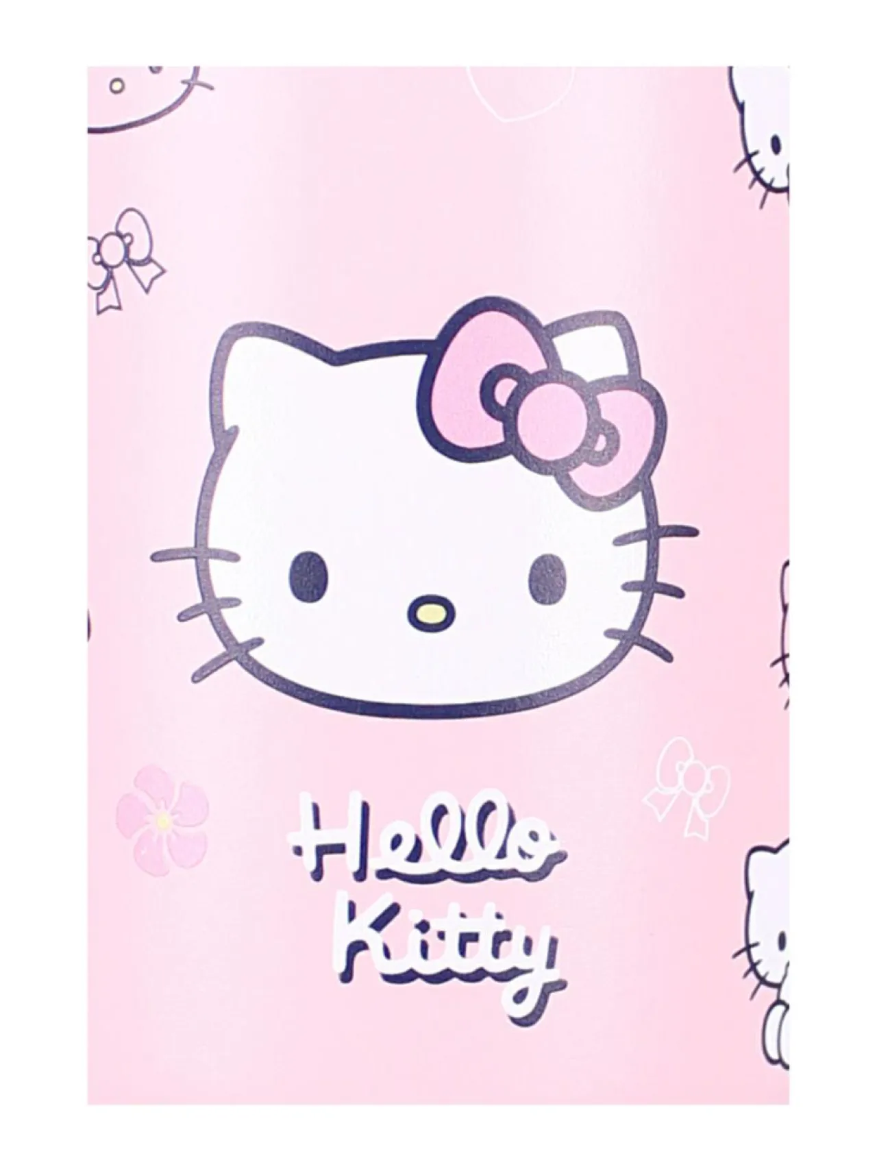 HELLO KITTY Juomapullo, 900 ml^ Fanituotteet