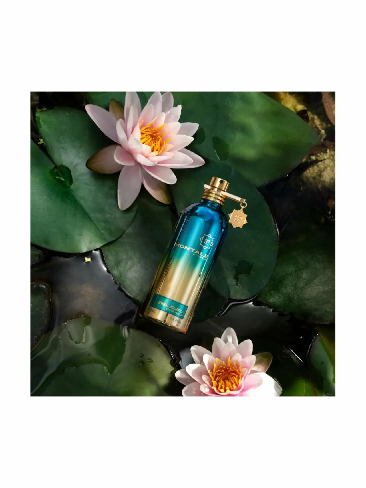 Montale Herbal Aquatica EdP -tuoksu, 100 ml^ Unisex