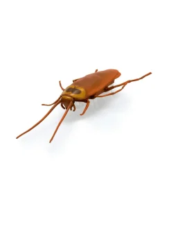 Figuurit & Interaktiiviset Lelut<HEX BOTS Interaktiivinen Nano Real Bugs, 5 kpl