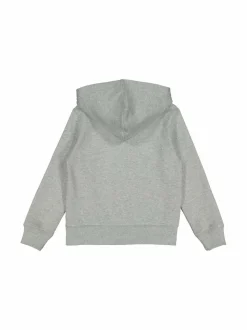 Polo Ralph Lauren Huppari^ Colleget & Hupparit