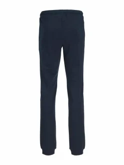 Collegehousut & Leggingsit<JACK & JONES junior JpstGordon JJNewSoft -collegehousut NAVY BLAZER PRINT:TONAL