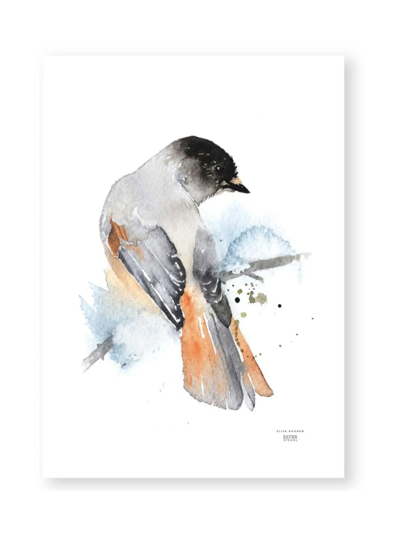ESTER VISUAL Juliste Kuukkeli 50x70 cm^ Taulut & Julisteet