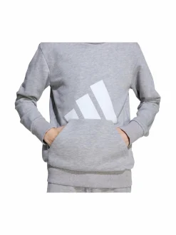 Colleget & Hupparit<adidas Sportswear Junior Logo BL FT HD 280 -huppari JV9900 MGREYH/WHITE