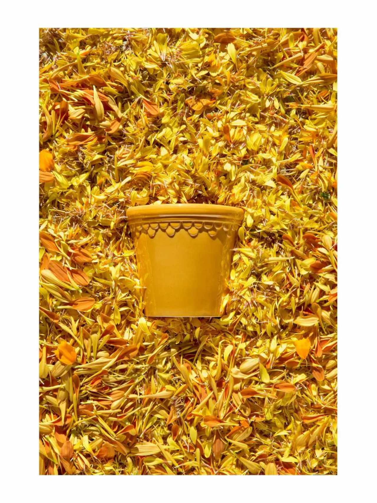 Ruukut & Istutusastiat<Bergs Potter Københavner-ruukku Ø 14 cm AMBER YELLOW