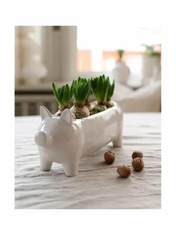 Wikholm Form Kim Pig S -ruukku 27 x 9 x 11 cm^ Ruukut & Istutusastiat
