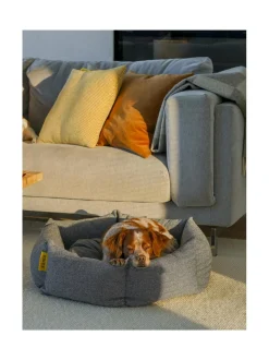 Pedit Ja Makuualustat<Kanto Koiranpeti Luoto WHITE & GREY