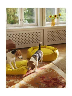 Pedit Ja Makuualustat<Kanto Koiranpeti Luoto x Kvadrat HONEY
