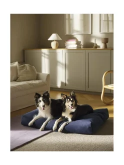 Kanto Koiranpeti Oksa x Kvadrat^ Pedit Ja Makuualustat