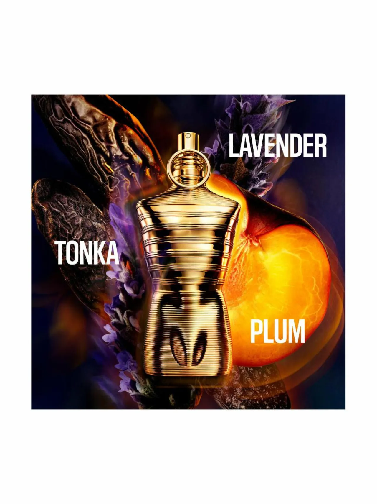 Tuoksut|Miehet<Jean Paul Gaultier Le Male Elixir Absolu EdP -tuoksu
