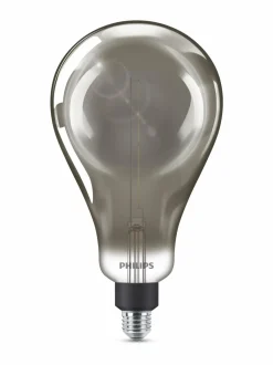 Lamput<Philips LED Giant Smoky Dimmable 6,5W E27 A160 -lamppu GREY