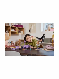 LEGO MINECRAFT Äärilisko ja Äären alus 21264^ Rakennussarjat