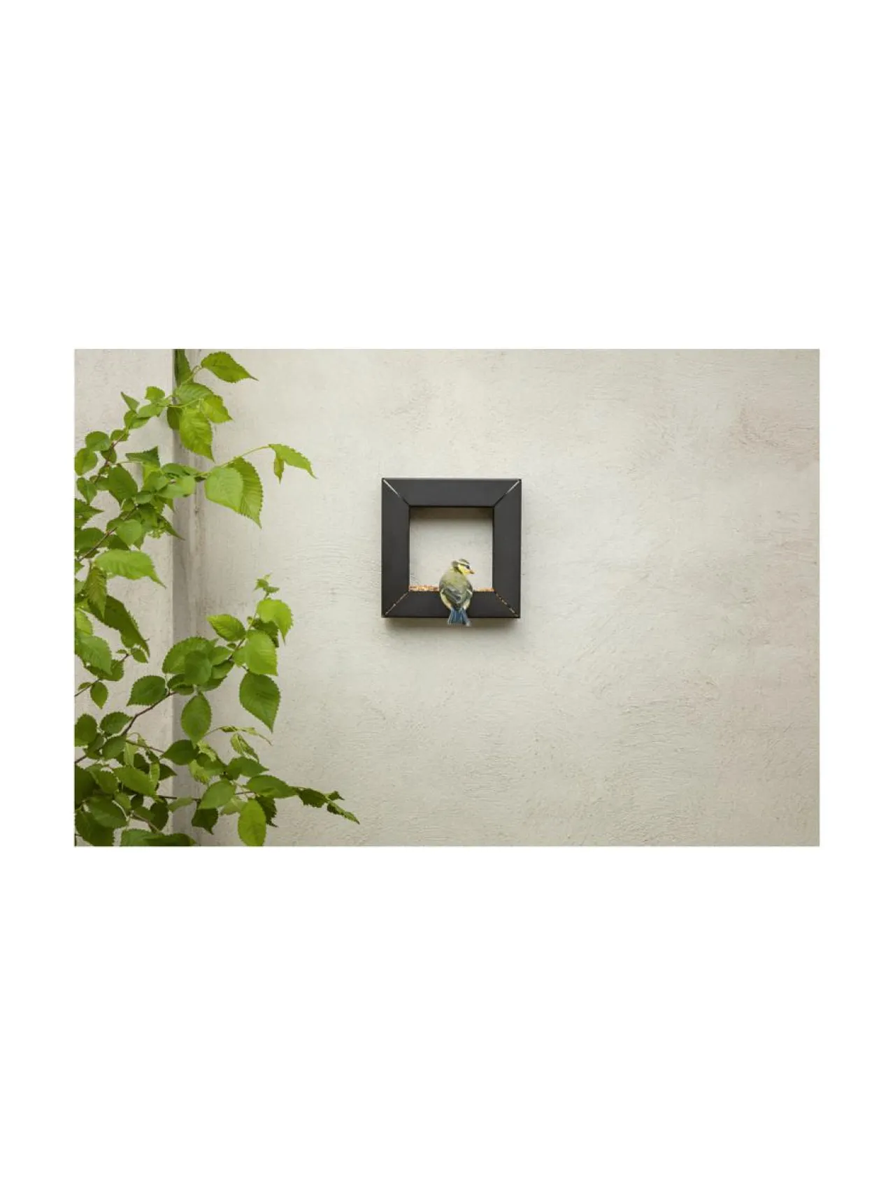Eva Solo Outdoor Lintulauta Frame 21 x 21 cm^ Puutarhakoristeet