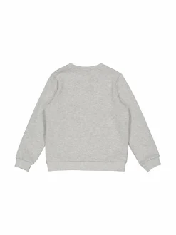 Colleget & Hupparit|Colleget & Hupparit<Lacoste Luomupuuvillainen collegepaita CCA SILVER CHINE