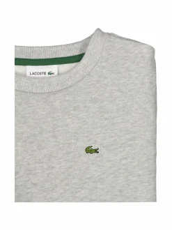 Colleget & Hupparit|Colleget & Hupparit<Lacoste Luomupuuvillainen collegepaita CCA SILVER CHINE