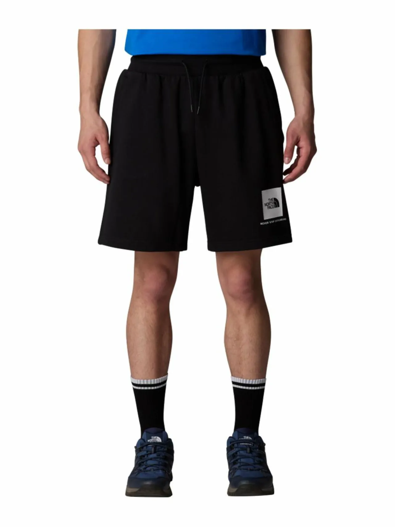 Urheiluhousut & Treenitrikoot<The North Face M Box Regular -collegeshortsit KY4 TNF BLACK/TNF WHITE