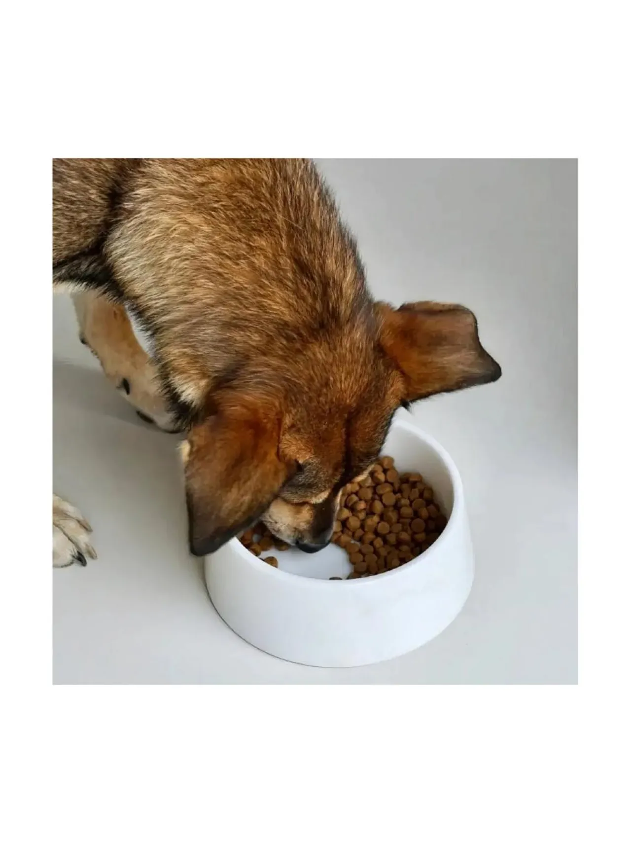 Ruokakupit Ja -Tarvikkeet<Studio Animaux Marmorinen design ruokakulho - Kristallinvalkoinen