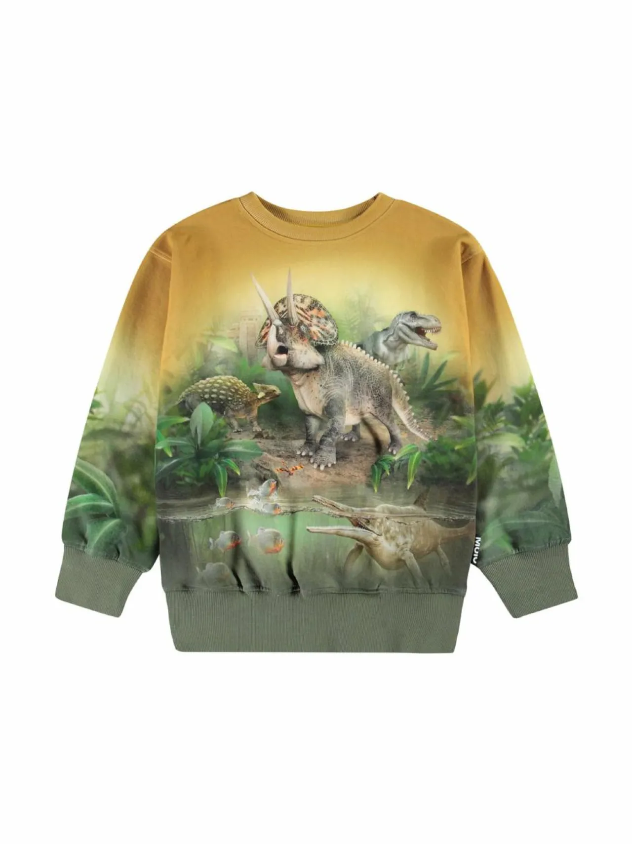 Colleget & Hupparit|Colleget & Hupparit<Molo Mattis-collegepaita 4936 FOREST DINOS