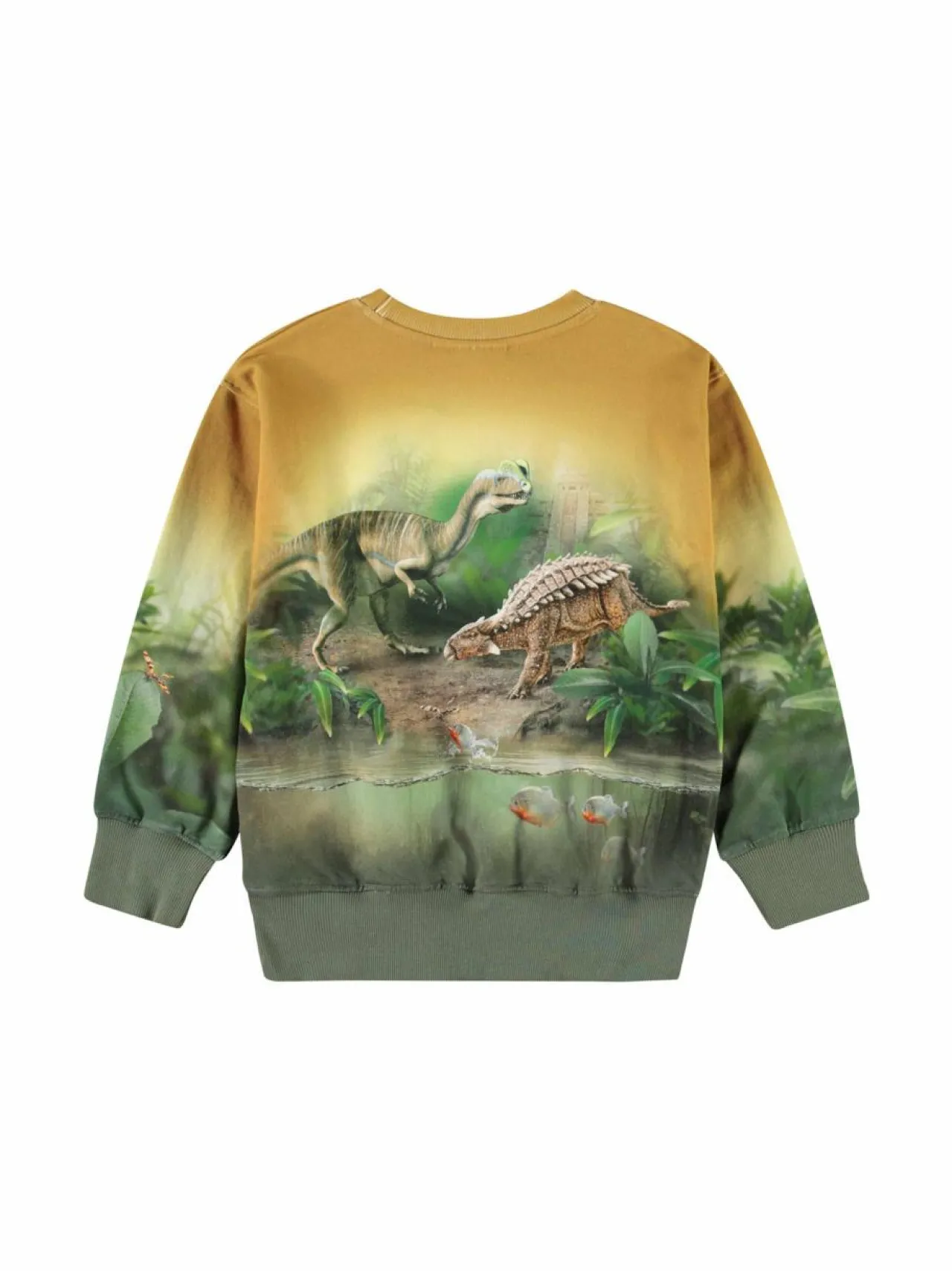 Colleget & Hupparit|Colleget & Hupparit<Molo Mattis-collegepaita 4936 FOREST DINOS