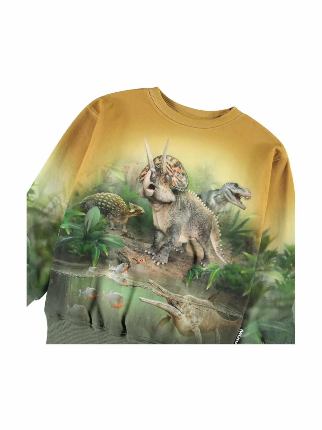 Colleget & Hupparit|Colleget & Hupparit<Molo Mattis-collegepaita 4936 FOREST DINOS
