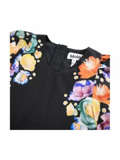 Molo Mekko^ Mekot & Hameet