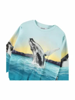 Colleget & Hupparit|Colleget & Hupparit<Molo Miksi-collegepaita 3870 WHALE JUMP