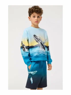 Colleget & Hupparit|Colleget & Hupparit<Molo Miksi-collegepaita 3870 WHALE JUMP