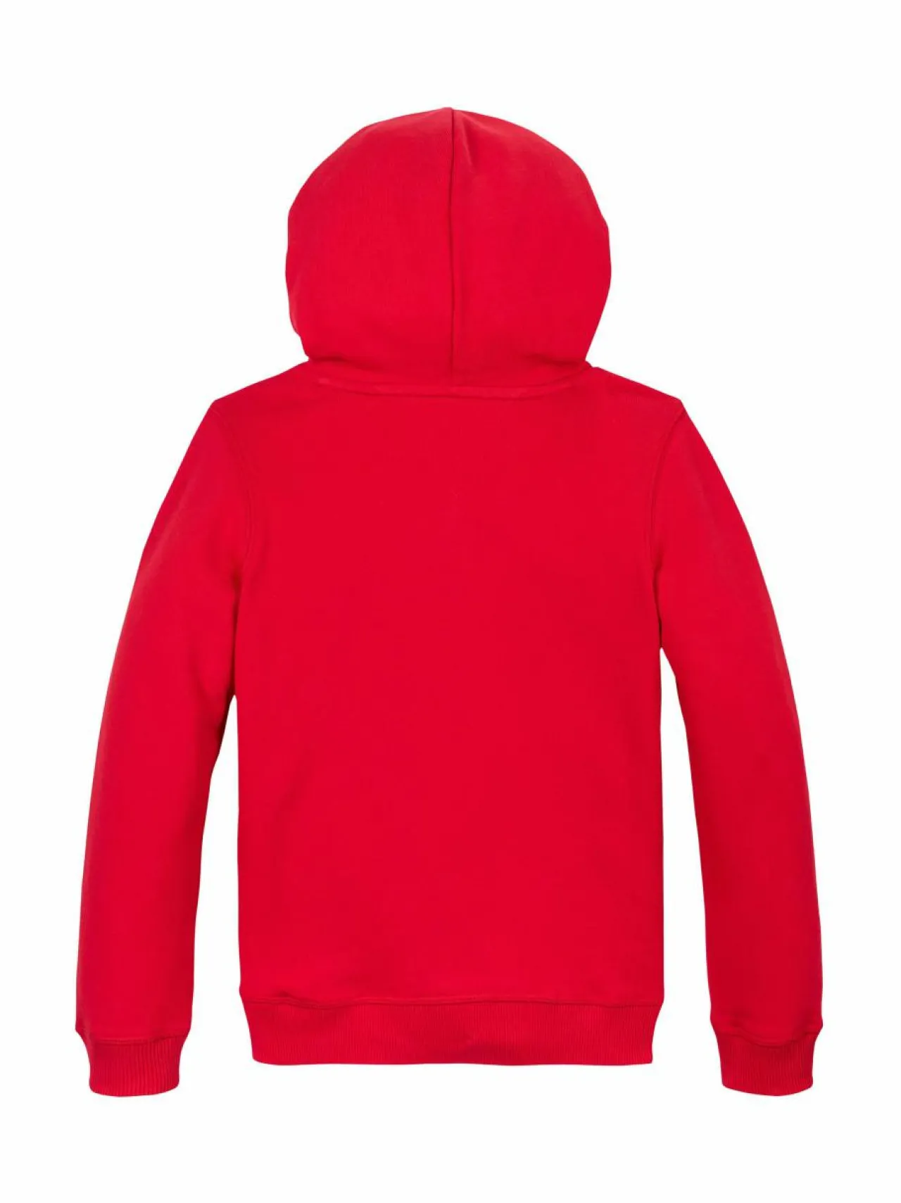 Tommy Hilfiger Multi Flag -huppari^ Colleget & Hupparit