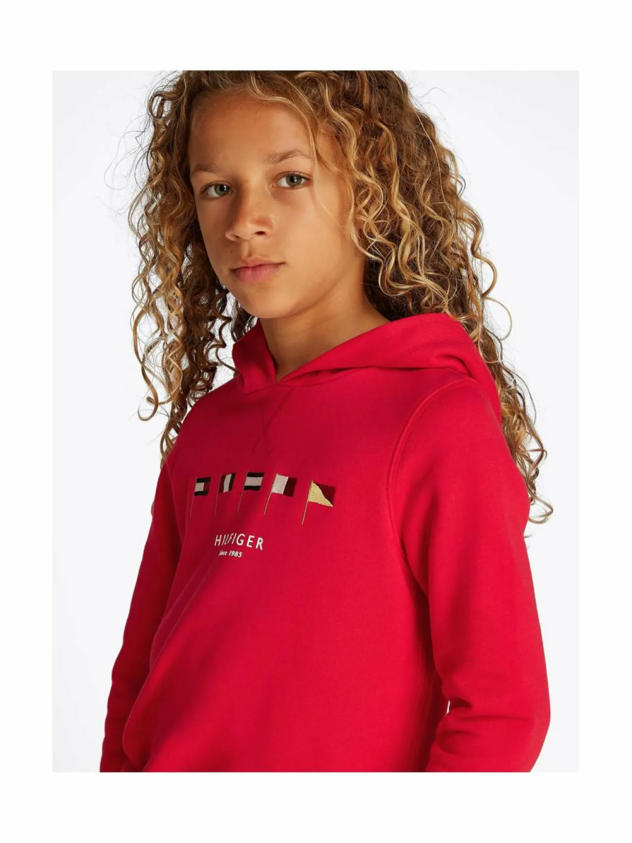 Tommy Hilfiger Multi Flag -huppari^ Colleget & Hupparit