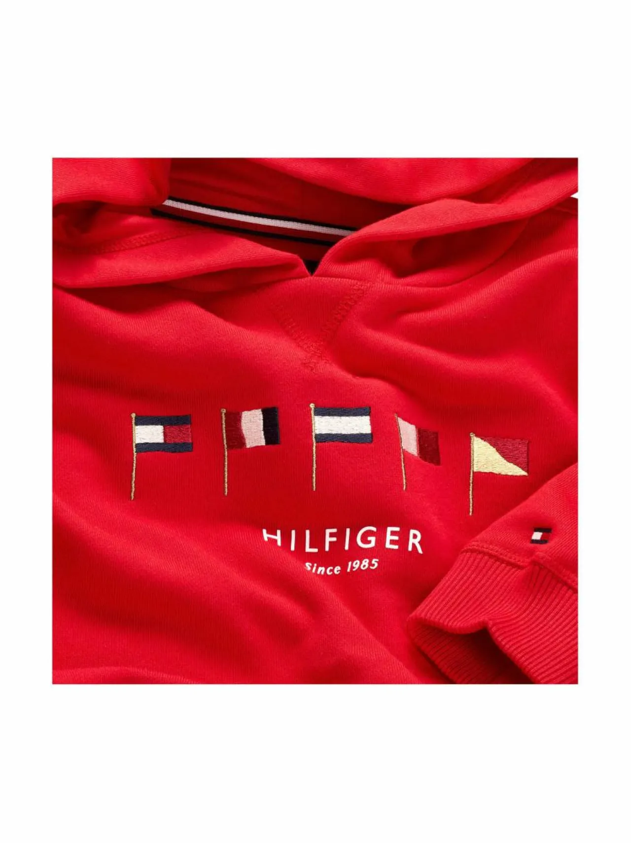 Tommy Hilfiger Multi Flag -huppari^ Colleget & Hupparit